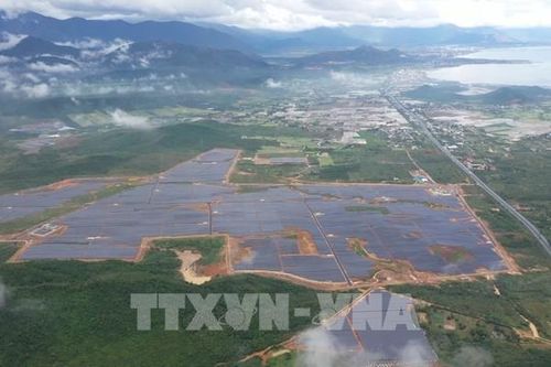 The Diplomat: Tăng trưởng kinh tế nhanh thúc đẩy tiêu thụ năng lượng xanh tại Việt Nam
