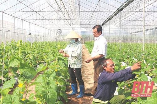 Tăng cường thực hiện các giải pháp tưới tiết kiệm cho cây trồng