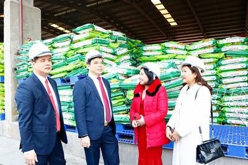 Xuất bán 1 tấn phân bón HCK Lâm Thao thế hệ mới đầu tiên ra thị trường