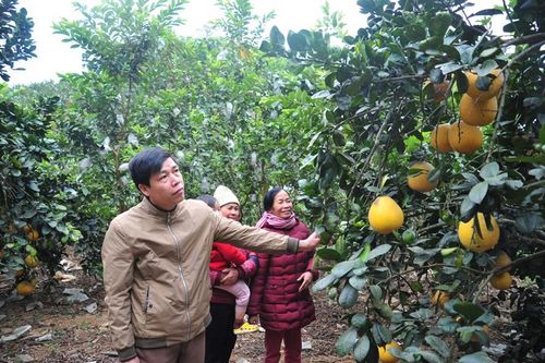 Hiệu quả từ mô hình điểm nâng cao chất lượng sinh hoạt chi bộ