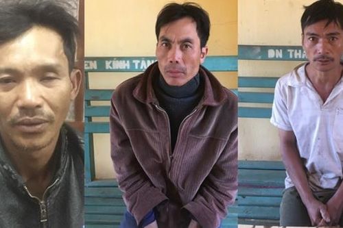 Lâm Đồng: Bắt giữ 3 nghi can phá hoại rừng phòng hộ