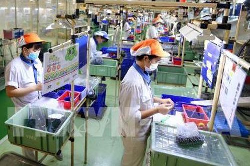 Việt Nam sẽ tiếp tục tỏa sáng trong 2021?