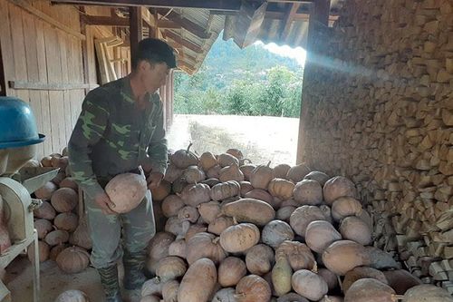 Ðể nông sản Ðiện Biên 'cất cánh'