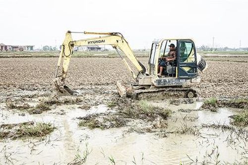 Chủ động triển khai các giải pháp thúc đẩy sản xuất nông nghiệp