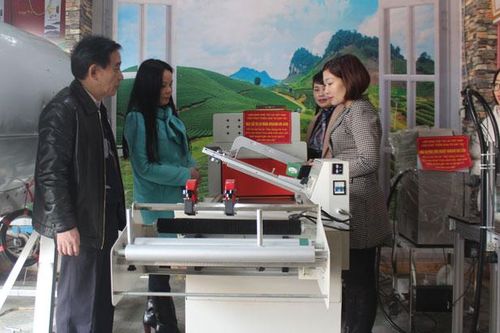 Hỗ trợ hợp tác xã chè sản xuất, kinh doanh gắn với chuỗi giá trị