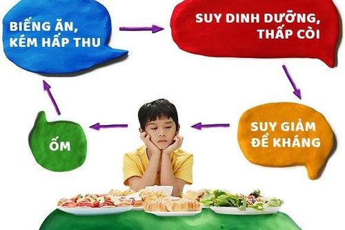 Nguyên nhân, hậu quả biếng ăn ở trẻ