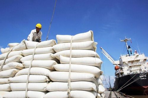 Xuất khẩu ngày 12-15/1: Thêm nhiều sản phẩm sữa Việt sang Trung Quốc; Gạo Việt đắt như tôm tươi; lý do mua gạo Ấn Độ