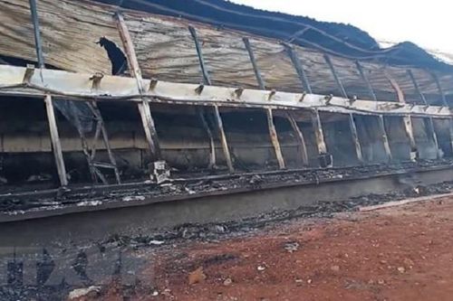 'Bà hỏa' thiêu rụi trang trại nuôi lợn gây thiệt hại 90 tỷ đồng