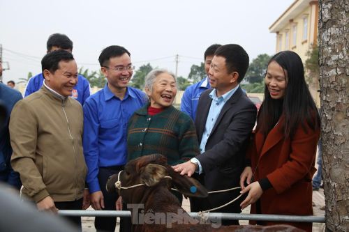 Tập đoàn Phúc Sơn, Báo Tiền Phong trao bò giống hỗ trợ bà con vùng lũ Hà Tĩnh