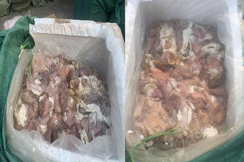Tiêu hủy 3,5 tấn thịt thối ở Nghệ An