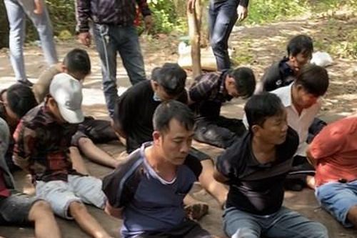 Phá trường gà quy mô lớn khu rừng cây bùn lầy