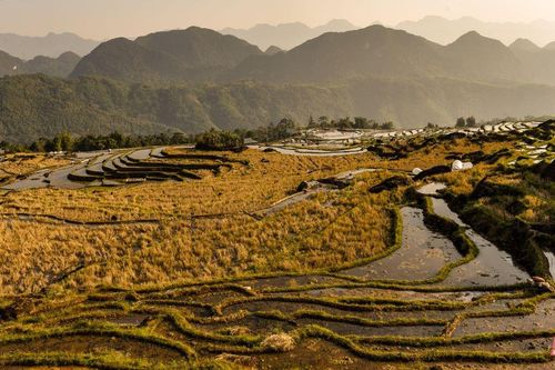 Ruộng bậc thang Pù Luông mùa nước đổ