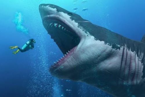 Giải mã Megalodon: 'Ông hoàng đại dương' một thời, một nhát cắn đủ khiến ô tô... bẹp rúm