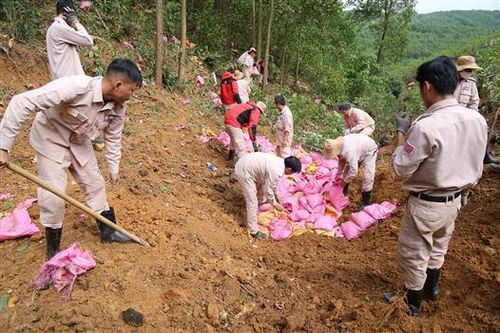 Hủy nổ quả đạn pháo nặng 853 kg giữa rừng tràm