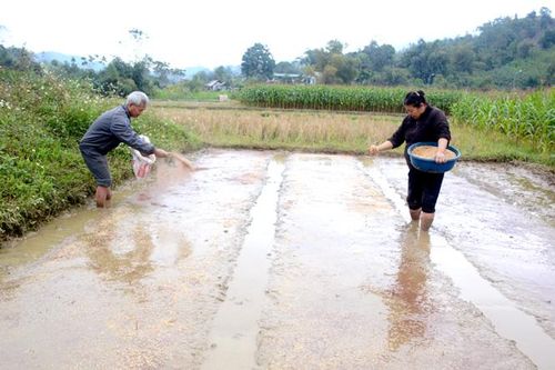 Chiêm Hóa mùa nối mùa