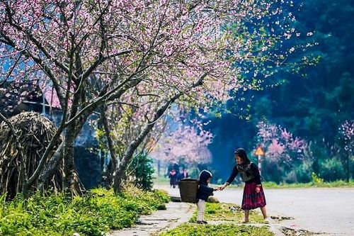 Thời tiết 15-1: Miền Bắc nắng ấm, nền nhiệt tăng nhẹ