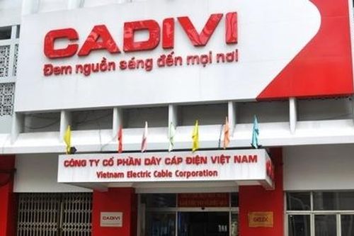 Dây cáp điện Việt Nam sắp chia cổ tức lớn