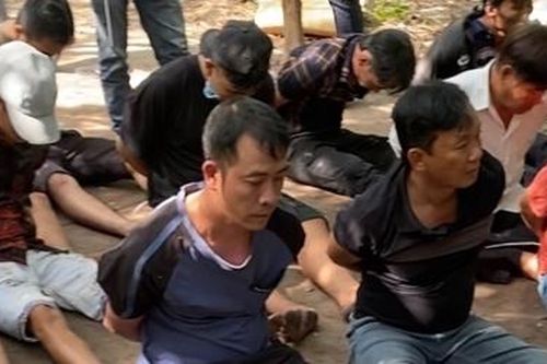 Trường gà quy mô lớn trong rừng cây bùn lầy bị triệt phá