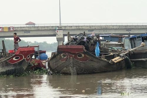 Phòng chống tội phạm về môi trường là 'trận chiến' chung của cả hệ thống chính trị