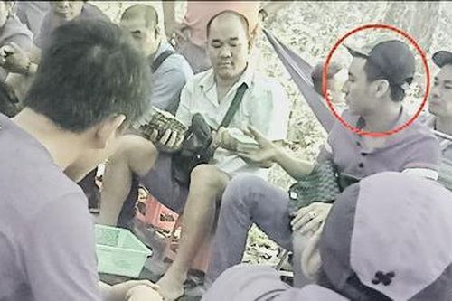 Bắt kẻ cầm đầu sới bạc giữa rừng phòng hộ