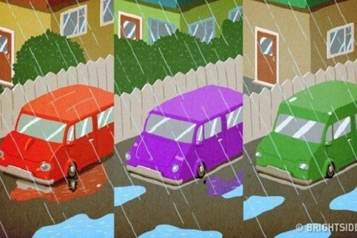 Câu đố mẹo: Kẻ trộm lái xe màu gì?