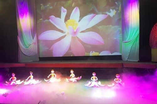 Thử nghiệm mới, múa rối đổi đời