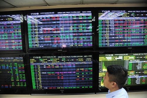 'Nhà đầu tư F0 đang chủ quan khi cứ mua cổ phiếu là thắng'