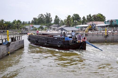 Triển khai các biện pháp ứng phó hạn, mặn