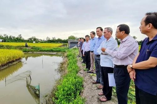 Bạc Liêu sẵn sàng ứng phó với '3 kịch bản' của hạn mặn