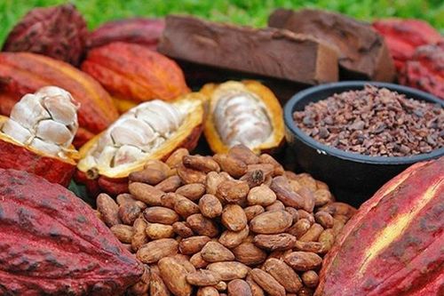 Nhóm nguyên liệu công nghiệp phân hóa, cà phê tăng trong khi đường giảm