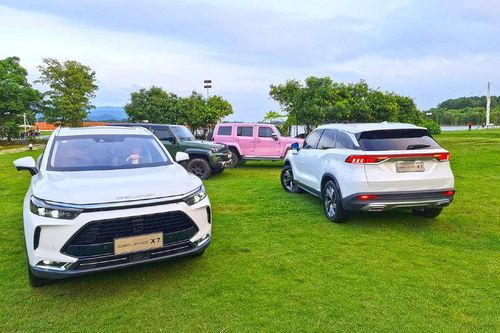 Chuyện chưa từng có, ô tô Tàu về Việt Nam cháy hàng