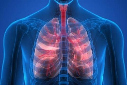 4 cách để nuôi dưỡng phổi khỏe mạnh