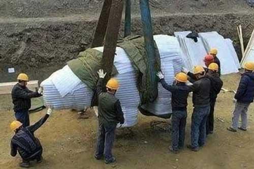 Khai quật vật thể 8 tấn bí ẩn: 40 năm sau, sự thật về 'thần thú' liên quan đến Tần Thủy Hoàng mới hé lộ