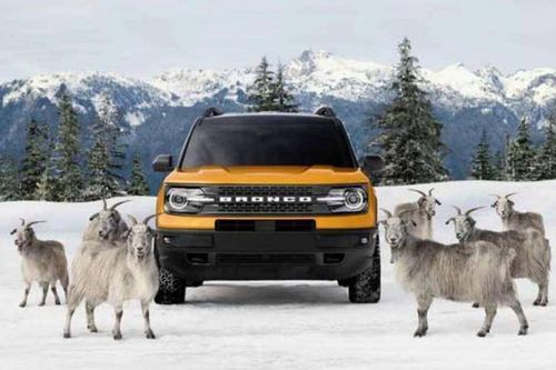 Ford dùng dê núi để quảng bá cho công nghệ đi mọi địa hình