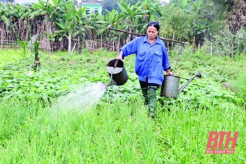 Phát triển các cây trồng chủ lực