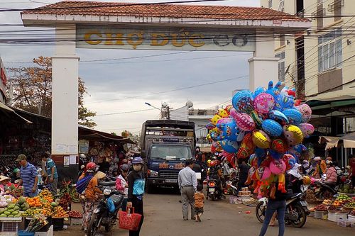 Gia Lai tăng cường kiểm soát vận chuyển heo qua biên giới