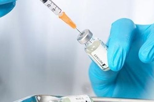 Việt Nam sắp nghiên cứu thành công vaccine dịch tả lợn châu Phi