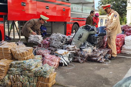 Phát hiện hơn 1.000 váy nữ không có nguồn gốc