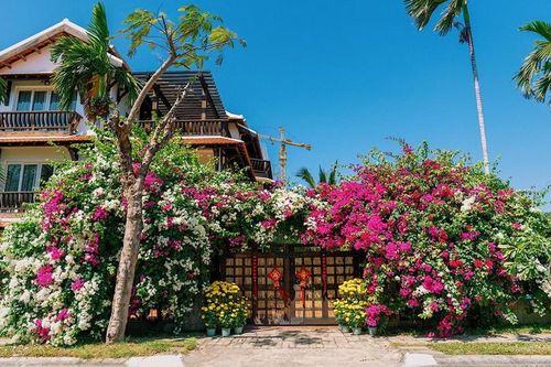 Khám phá căn biệt thự phủ gỗ ở Nha Trang