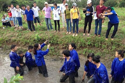 Làm sao hạn chế rủi ro khi tổ chức cho học sinh đi ngoại khóa?