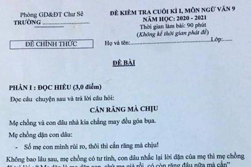 Giáo viên bị kiểm điểm vì ra đề Ngữ văn có nội dung nhạy cảm