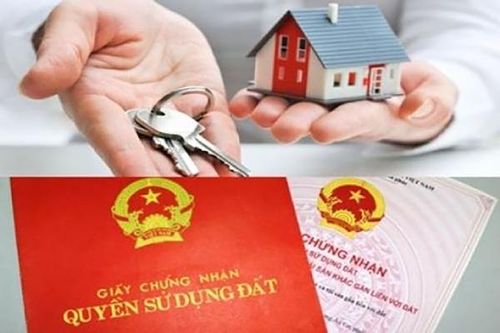 Xử lý hơn 1 ngàn trường hợp đất 'giấy tay'