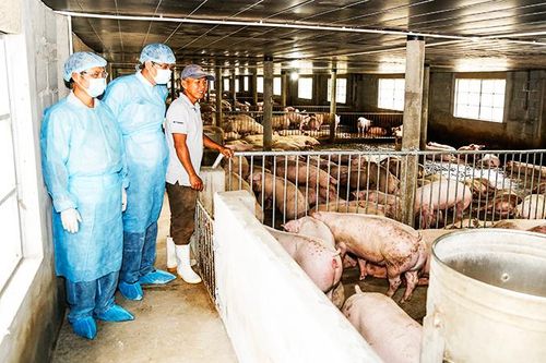 Ngành Nông nghiệp vượt khó