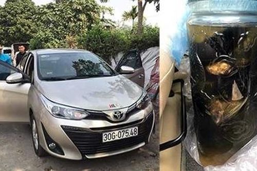 2 đối tượng sử dụng thú quý hiếm ngâm rượu mang đi bán