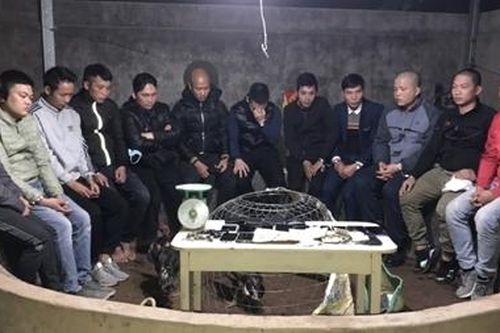 Đến trông nhà giúp chị gái rồi tranh thủ mở... sới gà