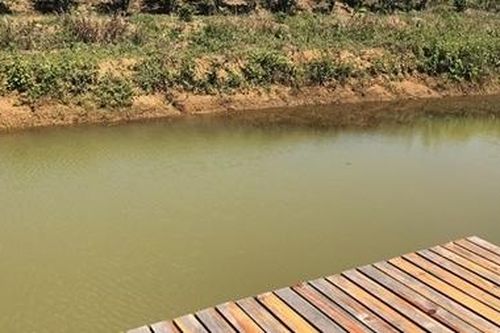 Bé gái tử vong vì rơi xuống hồ nước