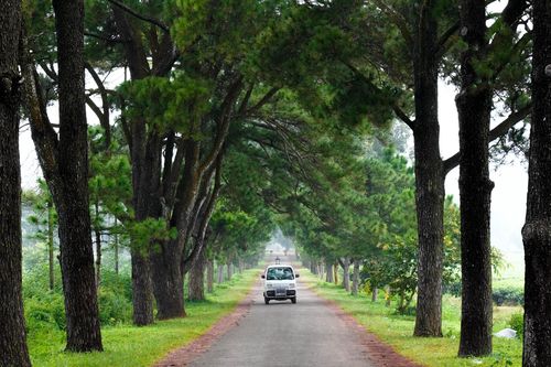 Vẻ đẹp bình yên của phố núi Gia Lai