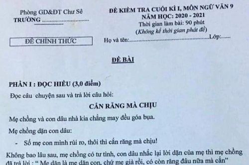 Sở GD&ĐT Gia Lai nói về đề thi Ngữ văn có nội dung nhạy cảm