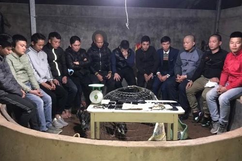 Mật phục, bắt quả tang 13 đối tượng đang sát phạt nhau trên sới gà
