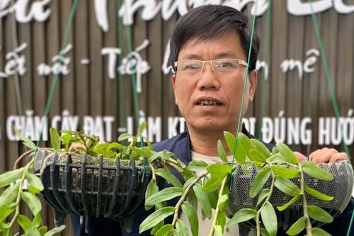Lê Thành Dư: Xây dựng cơ nghiệp từ hoa phong lan